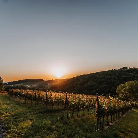Homestay Weingut Pugl Leibnitz