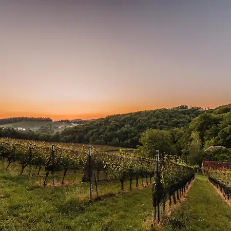 Weingut Pugl