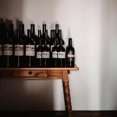 Homestay Weingut Pugl *