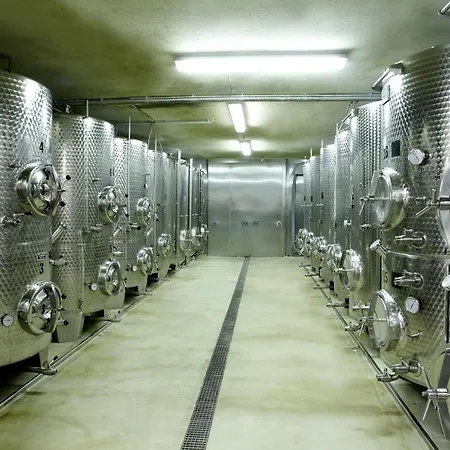 Weingut Pugl ホームステイ