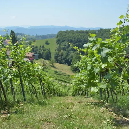 民宿 Weingut Pugl 莱布尼茨