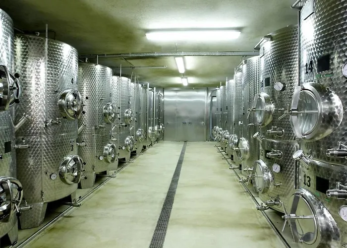 Weingut Pugl 홈스테이