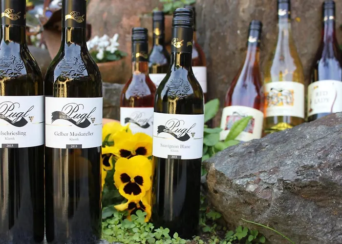 Privatunterkunft Weingut Pugl
