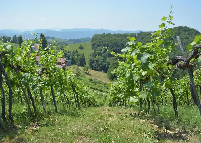 홈스테이 Weingut Pugl 레이브니츠